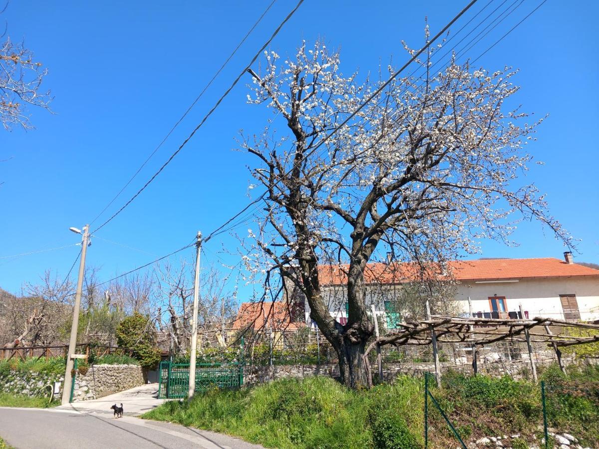 Apartmán Mon Reve Agerola Exteriér fotografie